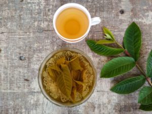 Benefits of Guava Leaves