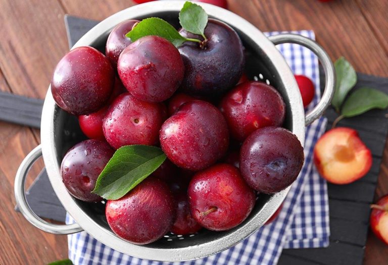 Plum benefits