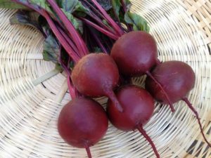 Red beet benefits