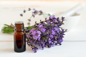 Lavender Uses and Benefits