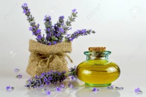 Lavender Benefits and Uses  