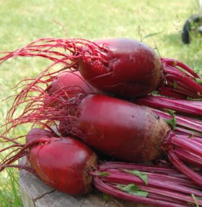 Red beet and its benefits