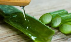 Health benefits of aloe vera plant