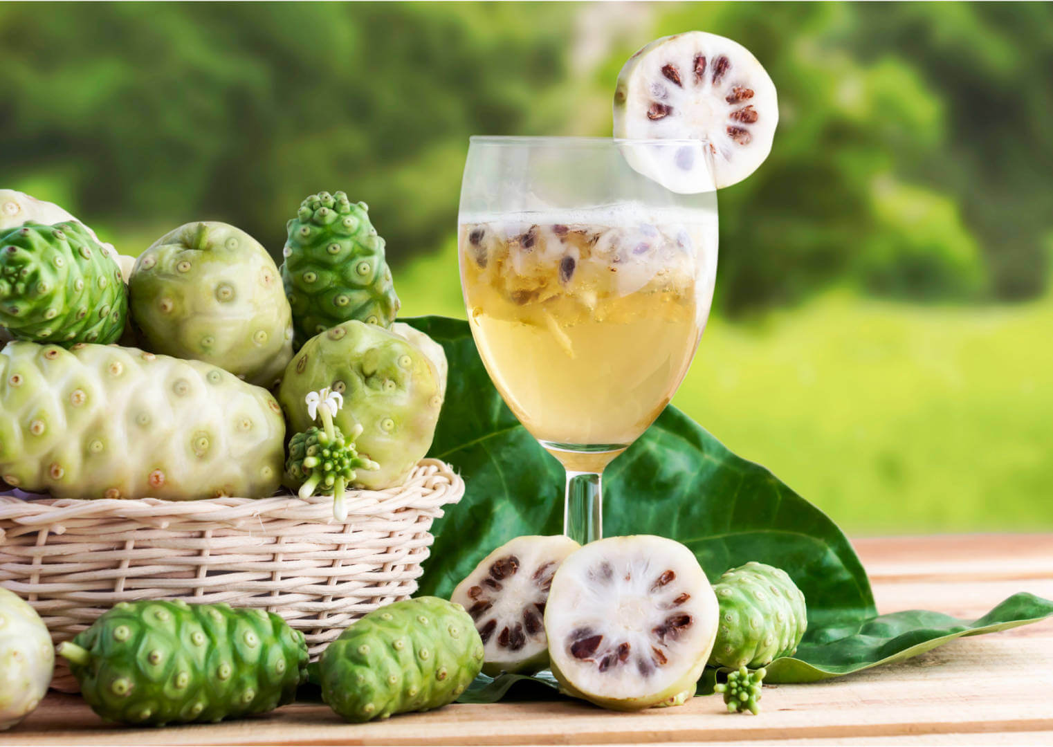 BENEFITS OF NONI LEAVES