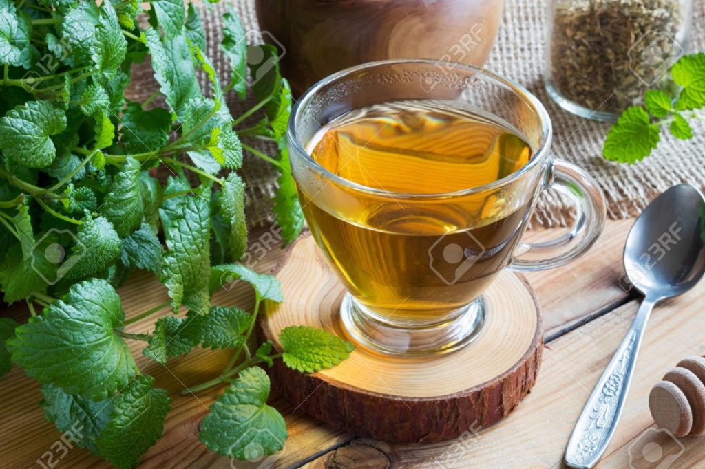 Lemon Balm Tea