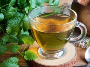 Lemon Balm Medicinal Use