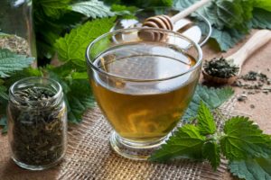 Health Benefits of Nettle