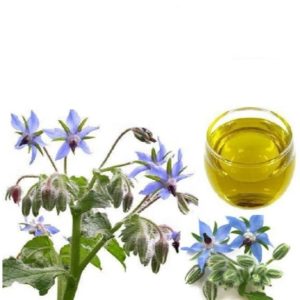 Borage Medicinal Uses