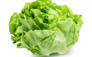 Lettuce 