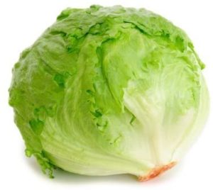 lettuce iceberg 