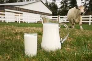 Nutritional value of milk