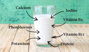 nutritional value of milk
