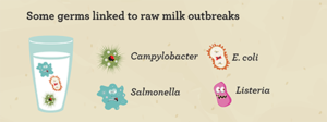 Raw milk germs 