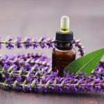 The benefits of sage