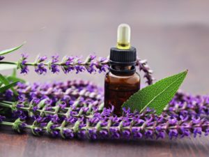 The Benefits of Sage