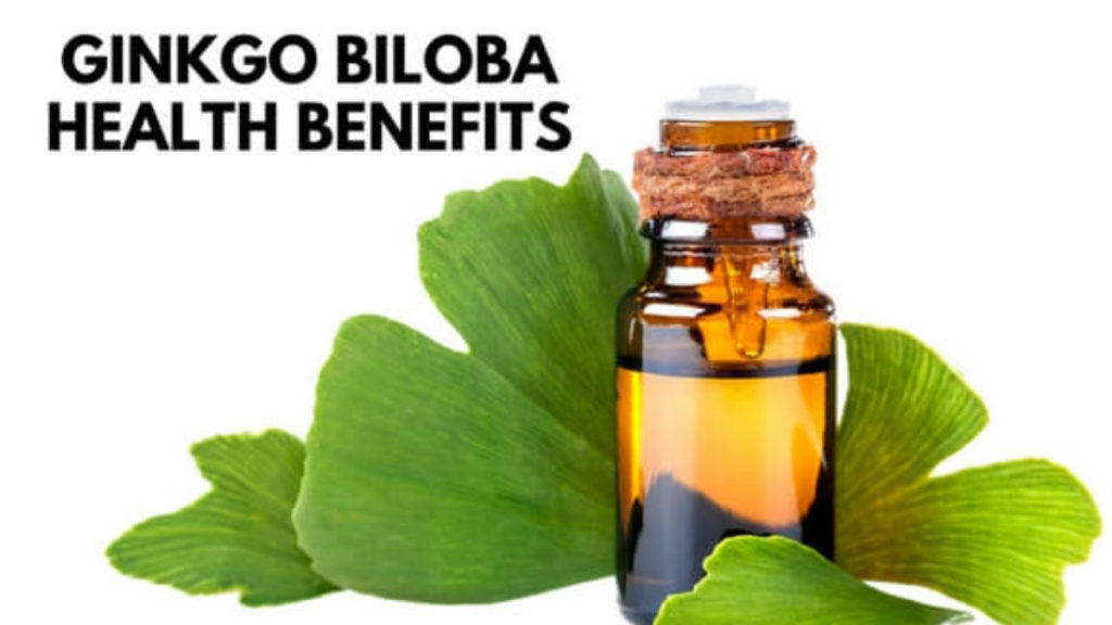 Ginkgo Health Benefits