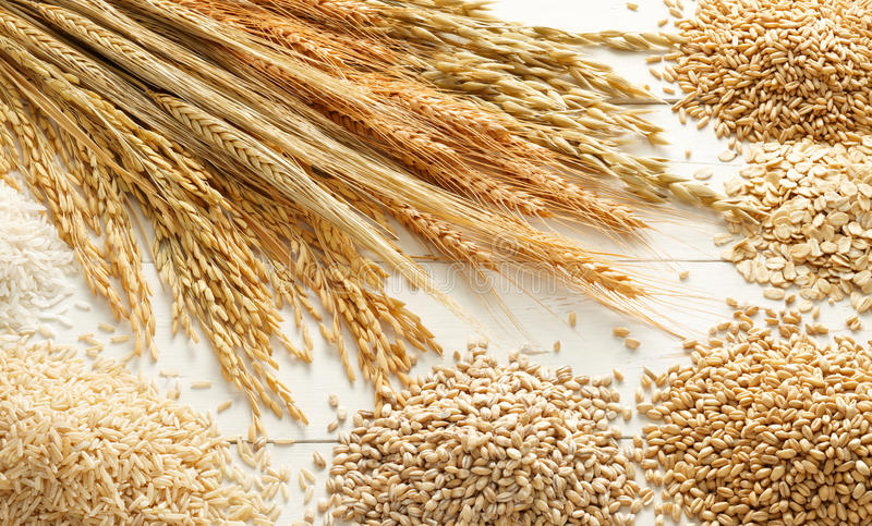 Nutritional Value of Grains