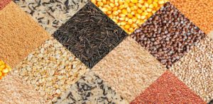 Nutritional Value of Grains
