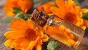 Calendula Health Benefits