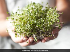 Sprouts Benefits and Side Effects 