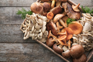 Benefits of Mushroom Soup