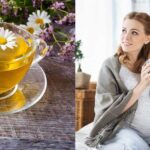 Herbal tea for pregnancy