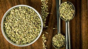 Fennel Seeds Benefits 