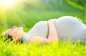 Herbs during pregnancy 