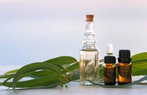 Herbs for asthma treatment 