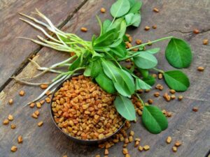 Benefits of Fenugreek Seeds