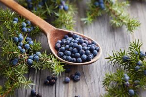 Health Benefits of Juniper Berries 