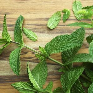 Health Benefits of Peppermint 
