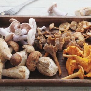 Mushroom benefits and side effects 