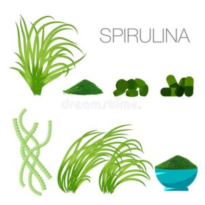 Benefits of Blue Spirulina