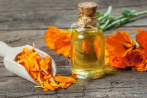 Calendula Uses