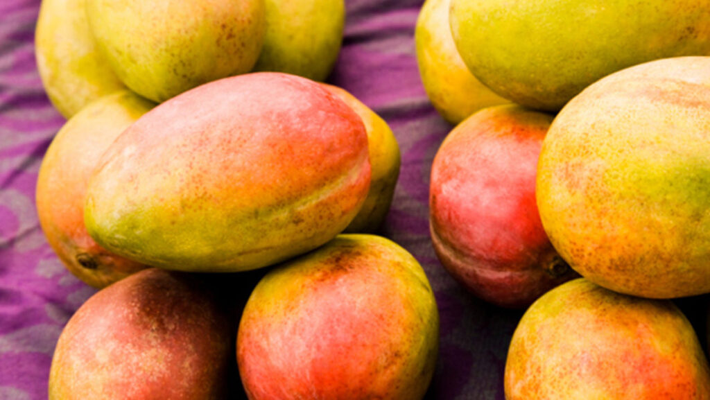 Benefits of eating mango