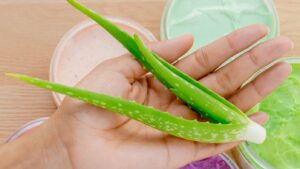 Aloe Vera Medicinal Uses