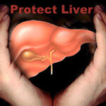 How to take care of your liver