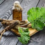 Benefits of Burdock