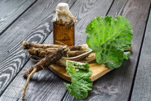 Benefits of Burdock