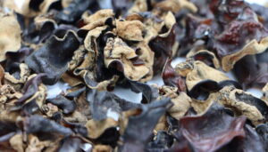 Black Fungus Benefits 