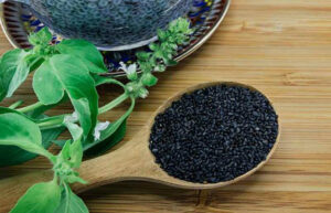 Basil Seeds Benefits