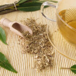 Health benefits of White willow