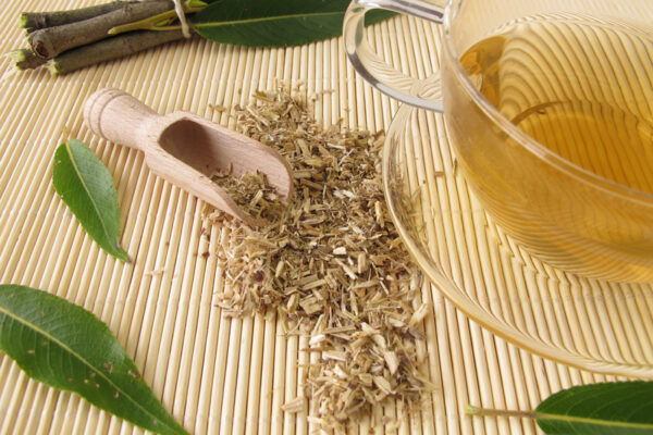 Health benefits of White willow