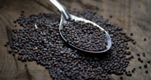 Black Mustard Seeds Benefits