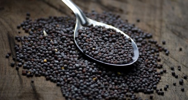 Black Mustard Seeds Benefits Disease Fighting Foods My Emerald Health