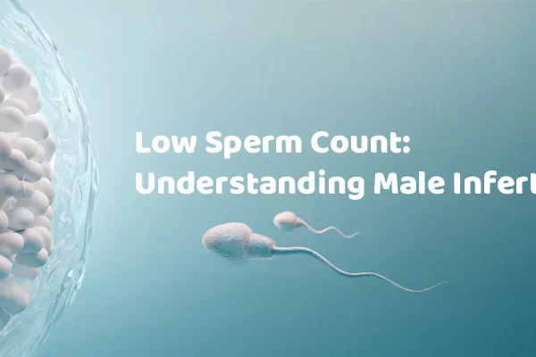 Causes of Low Sperm Count