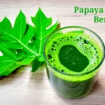 Papaya Leaves Benefits