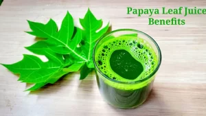 Papaya Leaves Benefits