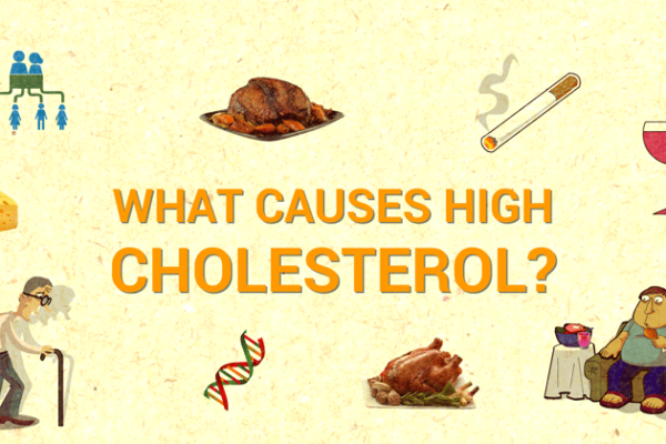 Causes of High Cholesterol